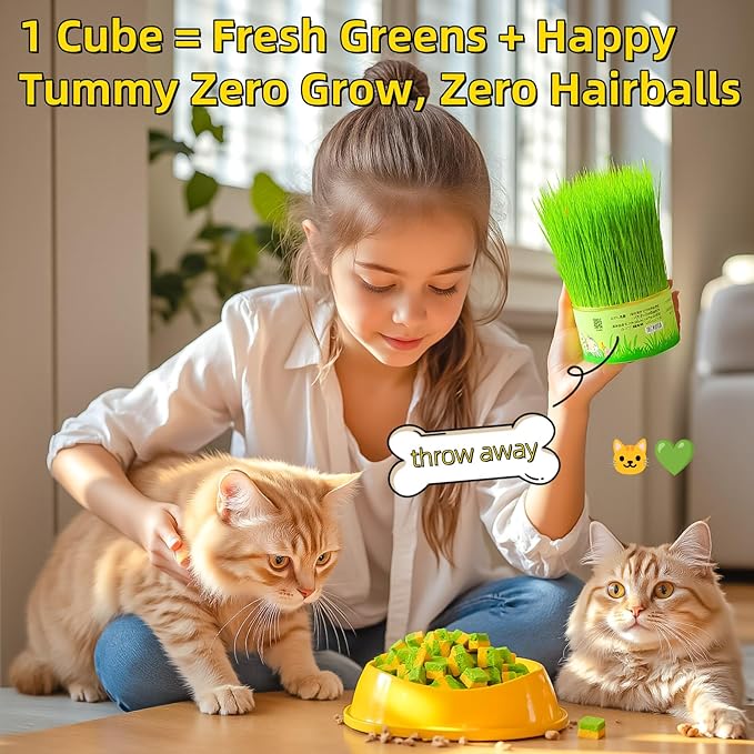 Cat Toy Grass Treats Freeze Dried 2 in 1 60g Fish Oil Chicken Cats Chew Grass Pellet Kitten Catnip for Hairball Removal Kitty Bite Snack for Cleaning Teeth Kitten Dental Food Indoor (2.12oz)