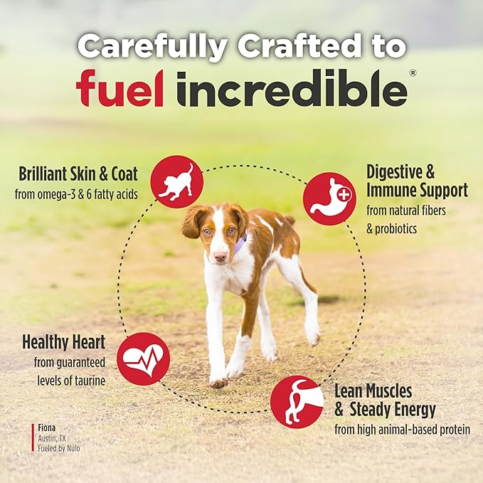 Nulo Freestyle Dry Puppy Food - Salmon & Peas, Premium Grain Free Dog Food for Puppies, Natural, High Protein Kibble with DHA, Omega 3 & Probiotics, for Small and Medium Breeds, 6lb Bag