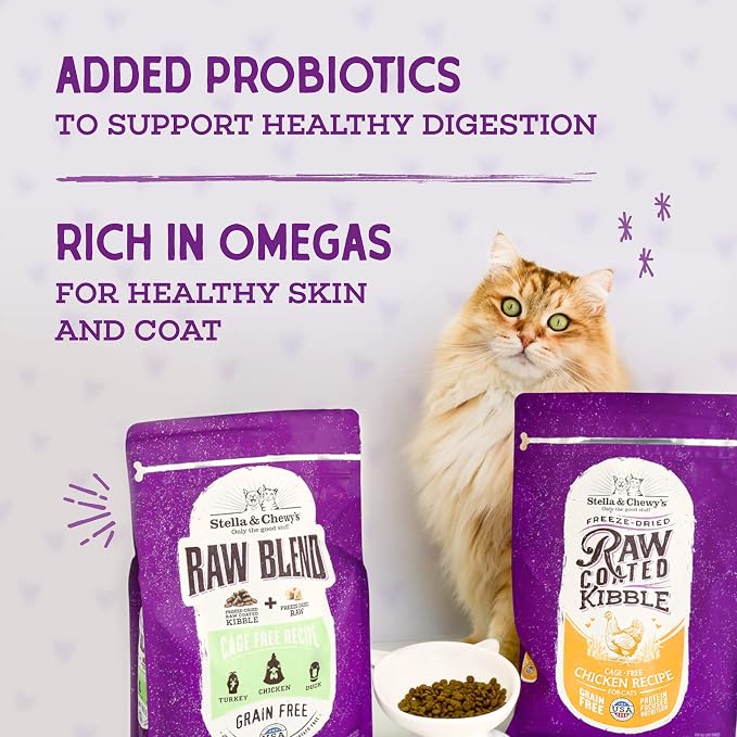 Stella & Chewy's Raw Coated Cat Food - High Protein, Grain-Free Kibble with Wild-Caught Salmon - Premium Digestive Support with Probiotics - Natural Small Kibble - Perfect for Picky Eaters - 5 lb Bag