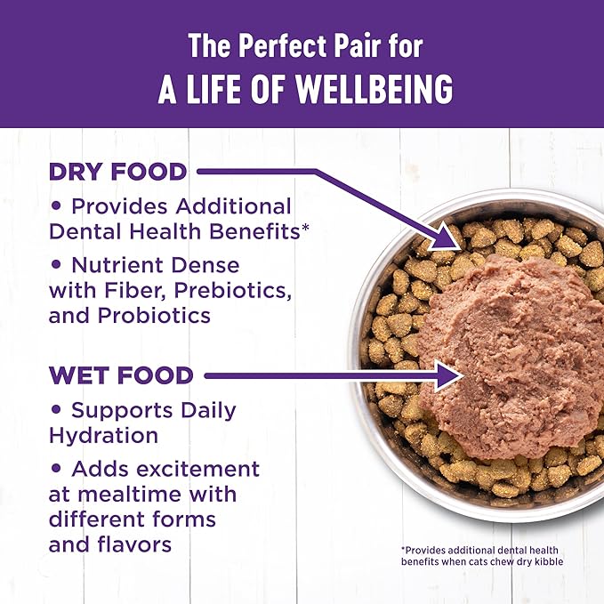 Wellness Complete Health Adult Dry Cat Food for Indoor Cats, Natural, Grain Free Kibble, Salmon and Herring Meal Recipe, 11.5 lb Bag