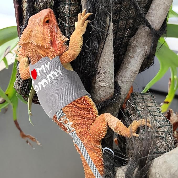 Bearded Dragon Travel Backpack Carrier with Reptile Thermometer and Humidity Gauge Lizard Travel Cage Space Capsule Clear Bubble Window Astronaut Reptile Bag for Ball Python (Pink, Backpack+I LSH)
