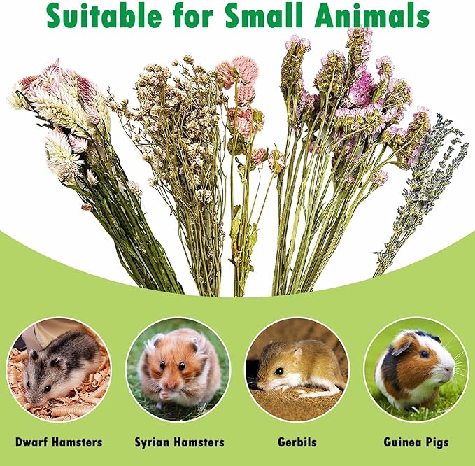 PINVNBY Natural Flower & Herb Hamster Bedding Habitat Decor Guinea Pig Bedding Hamster Sprays Hamster Cage Accessories for Guinea Pig Dwarf Syrian Gerbils Mice Mouse Rat (Flower Version)