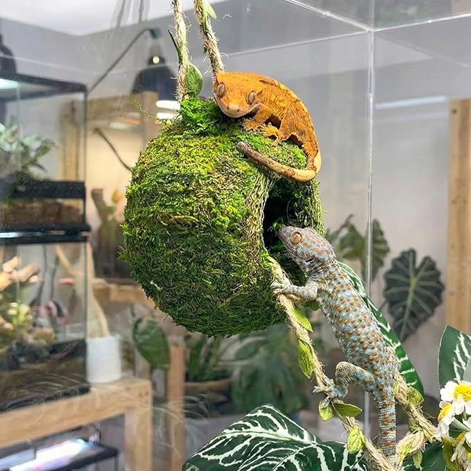 Moss Cave Hideout with Hanging Rope & Hemp Climbing Ladder – Natural Reptile Tank Decor Accessories for Crested Geckos, Chameleons, Tree Frogs, Leopard Geckos & Snakes. Terrarium & Vivarium Decor (6")