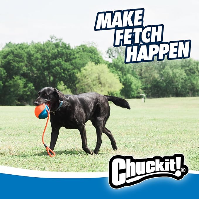Chuckit! Rope Fetch Dog Toy - Ball on Rope Fetch and Tug-of-War Toy for Dogs - Durable EVA Rubber Construction - 5.5-inch Diameter - 18-inch Rope - Orange and Blue (Pack of 4)