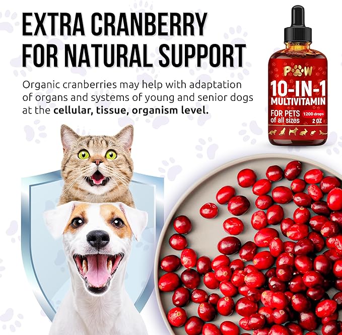 Liquid Multivitamin for Dogs with Glucosamine – Help with Allergies & UTIs – Dog Vitamins and Supplements – Cat Multivitamin for Hips & Joints – B, C & D3 for Coat Shining & Digestion – 2 oz