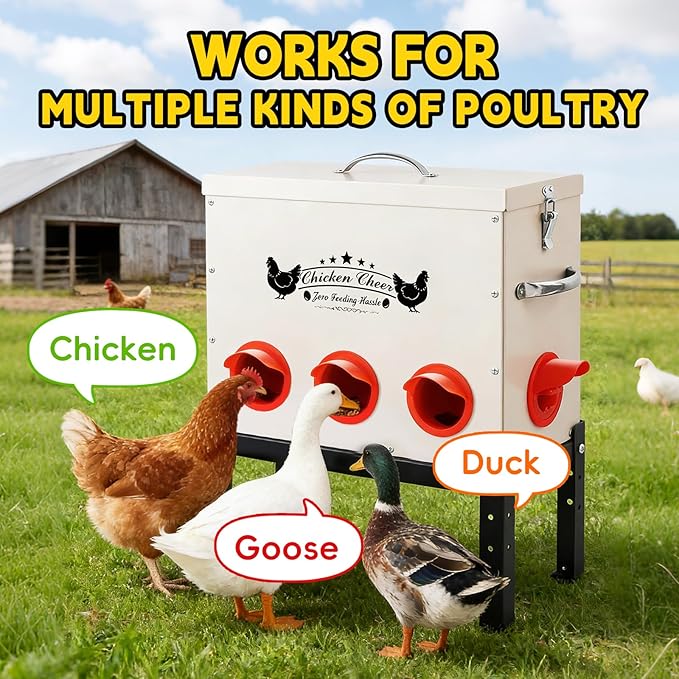DRQ 55 LB Automatic Chicken Feeder