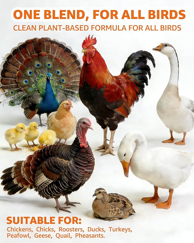 Natural Chicken Powder Chili Mix, 1 lb Herbal Feed Topper for Laying Hens, Egg-Safe Poultry, Daily Wellness Feed Topper, Garlic Pumpkin Seed Wormwood, Marigold Turmeric for Golden Yolks