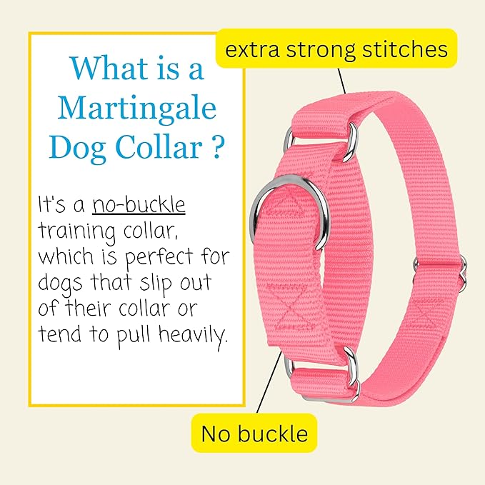 Country Brook Petz - Martingale Dog Collar - Heavy-Duty Training Collar with No Buckle - Service Dog Collar for All Pups - 20 Vibrant Colors (Pink, 5/8 Inch, Extra Small)
