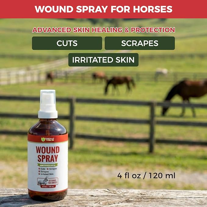 Silver Wound Spray for Horses – Advanced Nano-Silver Hot Spot & Skin Care Treatment – Fast Relief for Scrapes, Cuts, Rashes & Insect Bites – Non-Stinging First Aid Formula – 120ml (4oz)