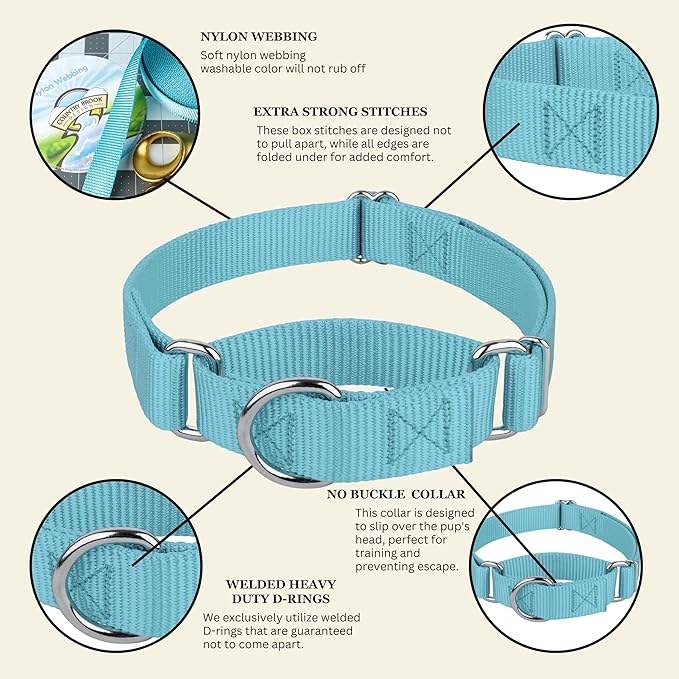 Country Brook Petz - Martingale Dog Collar - Heavy-Duty Training Collar with No Buckle - Service Dog Collar for All Pups - 20 Vibrant Colors (Ocean Blue, 3/8 Inch, 3XS)