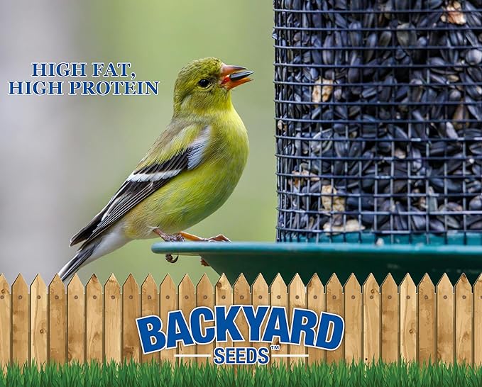 Backyard Seeds Black Oil Sunflower Seeds for Wild Birds 25lbs - Thin Shells, Premium Cardinal Food, Medium Bag of Black Oil Sunflower Seeds