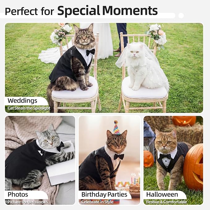 QBLEEV Cat Tuxedo Outfit with Bow Tie, Sphynx Cat Costume Formal Suit Wear | Soft breathable, stylish hairless clothes for cats only, kitten wedding birthday party shirt apparel for male boy