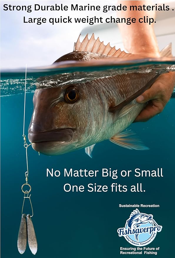 fish descending return device - 2 Pack- Compact & reliable release device built for long life. No mechanical release to fail. Great for red snapper. Unlike venting tools NOAA preferred.