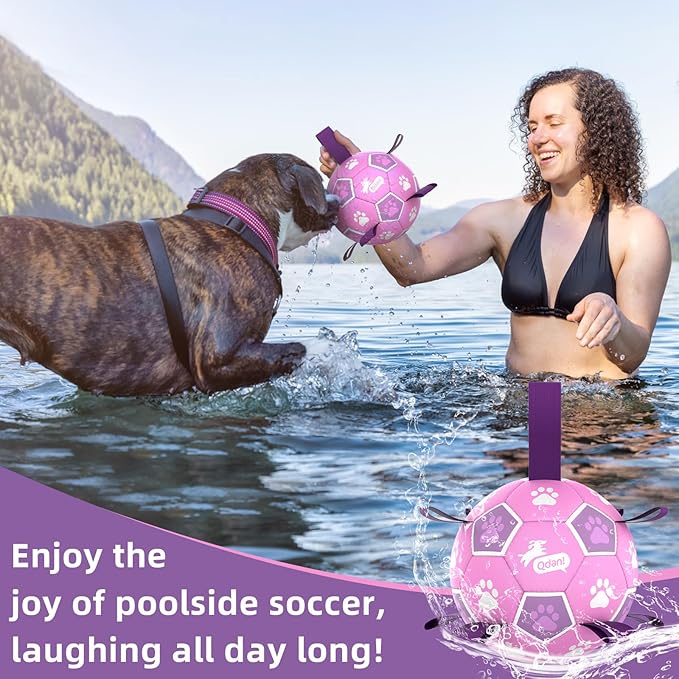 QDAN Dog Toys Soccer Ball with Straps - Durable Balls for Small Medium Dogs, Beach Pool Water Toy Dog Tug Toys for Tug of War, Puppy Pet Birthday Gifts (6 Inch)