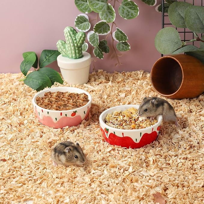 VanEnjoy 2 Pack Hamster Food Bowl Small Ceramic Water Food Bowl for Cage Small Animal Bowls for Hamster Guinea Pig Chinchilla Rabbit - Red and Pink