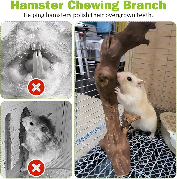 2Pcs Hamster Climbing Branches Decor 11.8in Rat Tree Logs Toy Wooden Gerbil Habitat Ornament Small Animal Cage Accessories with 31Pcs Natural Flower Hamster Mate Herbs