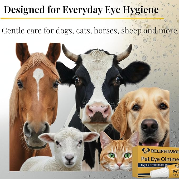 Pet Eye Cream – Vet-Formulated Dog Eye Infection Treatment, Pink Eye Relief, Conjunctivitis Relief, Dry Eyes & Red Eye, Tear Stain Remover for Dogs, Cats, Cattle, Sheep, Horses – 1 Tube