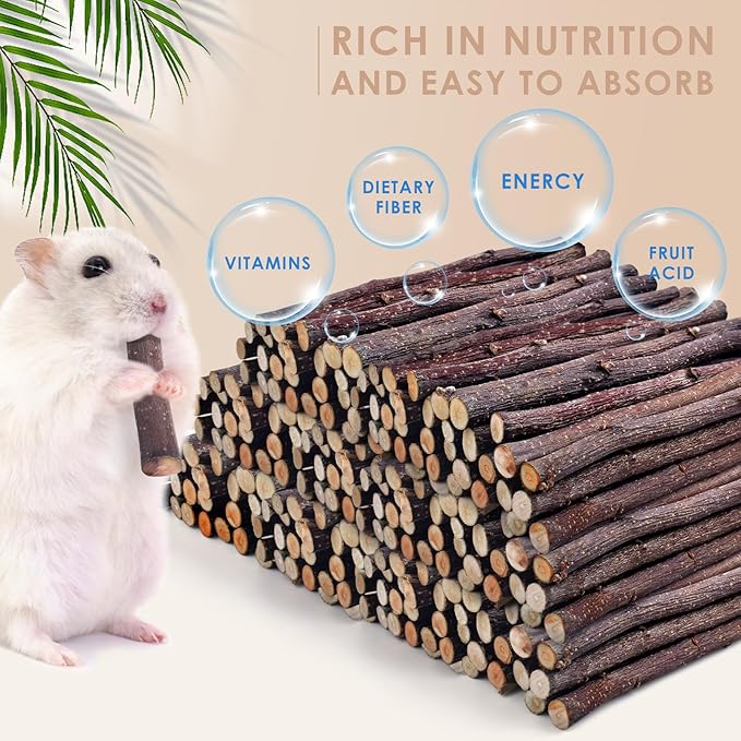 Bissap Apple Sticks for Rabbits, Natural Bunny Chew Toys and Treats for Chinchilla Guinea Pig Hamster Gerbil Small Animals Pet Apple Wood Stick Toys Teeth Grinding (940g/2lb)
