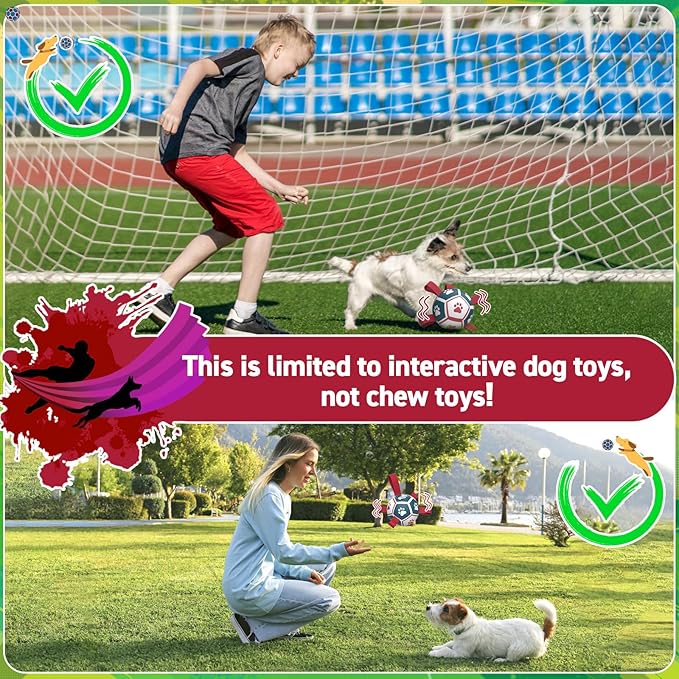 QDAN Dog Toys with Bell Inside, Durable Dog Balls for Tug of War, Outdoor Dog Toys, Squeaky Ball Toy (Blue, 5 inch)