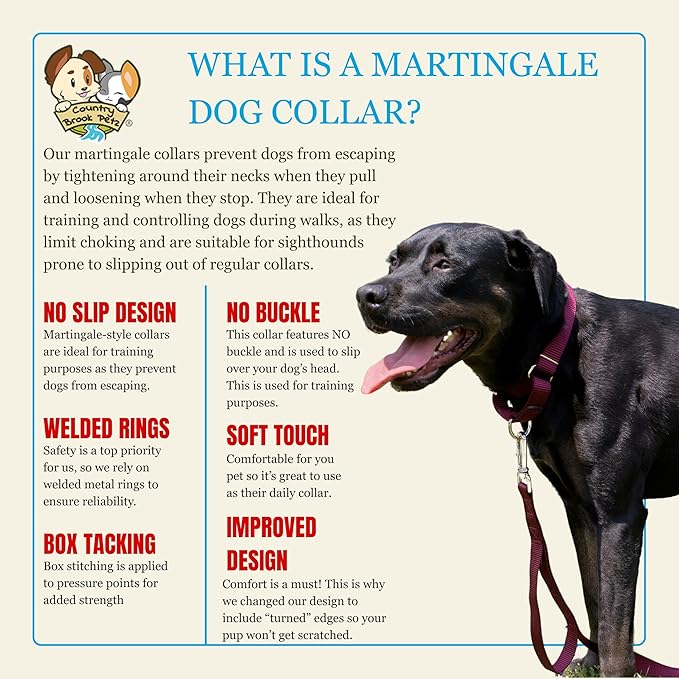 Country Brook Petz - Martingale Dog Collar - Heavy-Duty Training Collar with No Buckle - Service Dog Collar for All Pups - 20 Vibrant Colors (Burgundy, 3/8 Inch, 2XS)