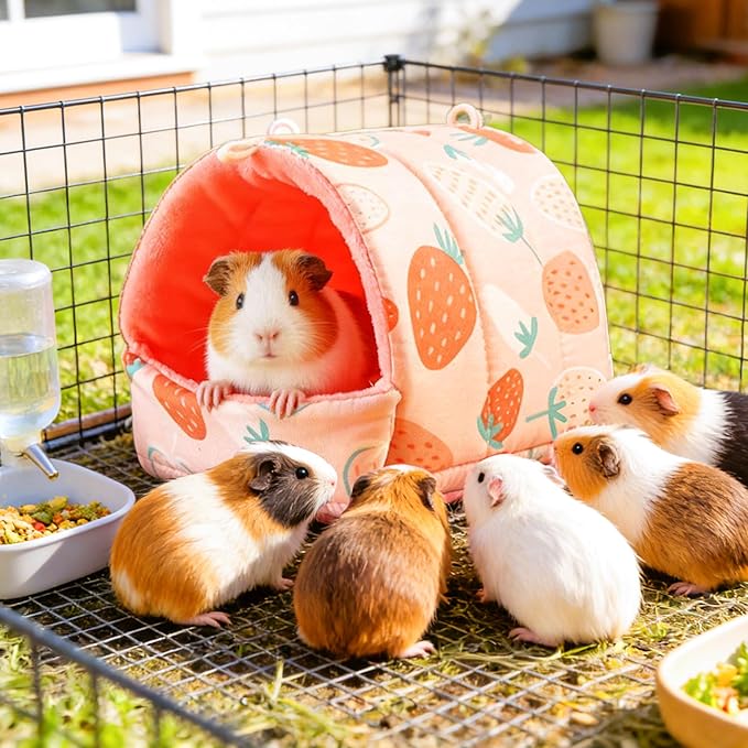 2 Pack Rabbit Guinea Pig Hideout Guinea Pig Hay Bags for Rabbits Hanging Hay Feeder Chinchillas Hamsters Bunny Small Animal House Cage Accessories Bag