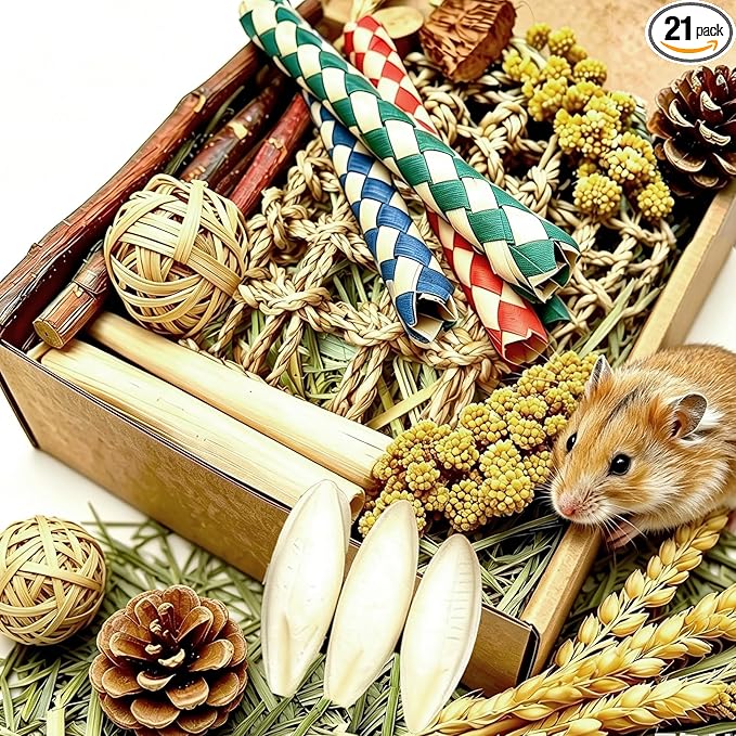 Hamster Toys Box for Chewing&Teeth Grinding Natural Hamster Treats for Chinchilla Rat Hamster Bunny and Other Small Pets (Small)