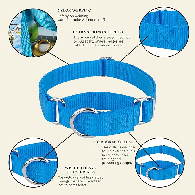 Country Brook Petz - Martingale Dog Collar - Heavy-Duty Training Collar with No Buckle - Service Dog Collar for All Pups - 20 Vibrant Colors (Ice Blue, 1 Inch, Extra Large)