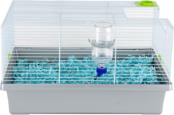 Lixit 30-0370-024 Glass Water Bottle for Birds and Small Animals, 8-Ounce