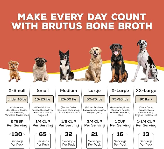 Brutus Broth Dog Food Topper - Instant Bone Broth Powder with Probiotics for Dogs’ Daily Digestive Health - Human-Grade Quality, Serve Dry or Wet - Pork Flavor, 3.5 oz (Pack of 1)