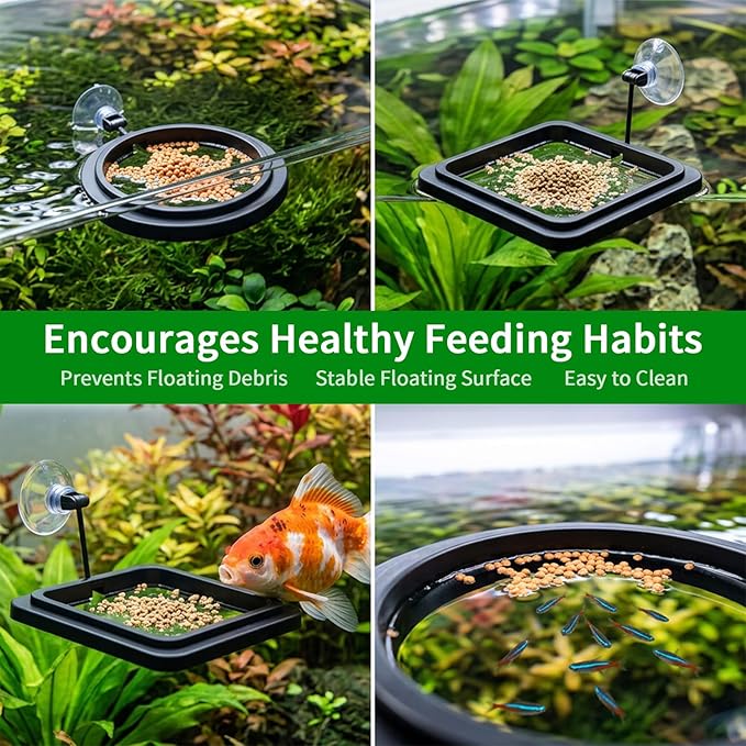 2PCS Fish Feeding Ring, Square and Round Aquarium Feeding Ring with Suction Cup for Betta Goldfish Guppy Turtle, Floating Fishes Feeder Rings for Fish Tank (Black)