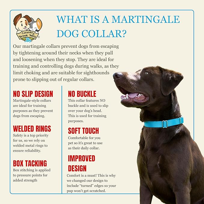 Country Brook Petz - Martingale Dog Collar - Heavy-Duty Training Collar with No Buckle - Service Dog Collar for All Pups - 20 Vibrant Colors (Ice Blue, 3/4 Inch, Small)