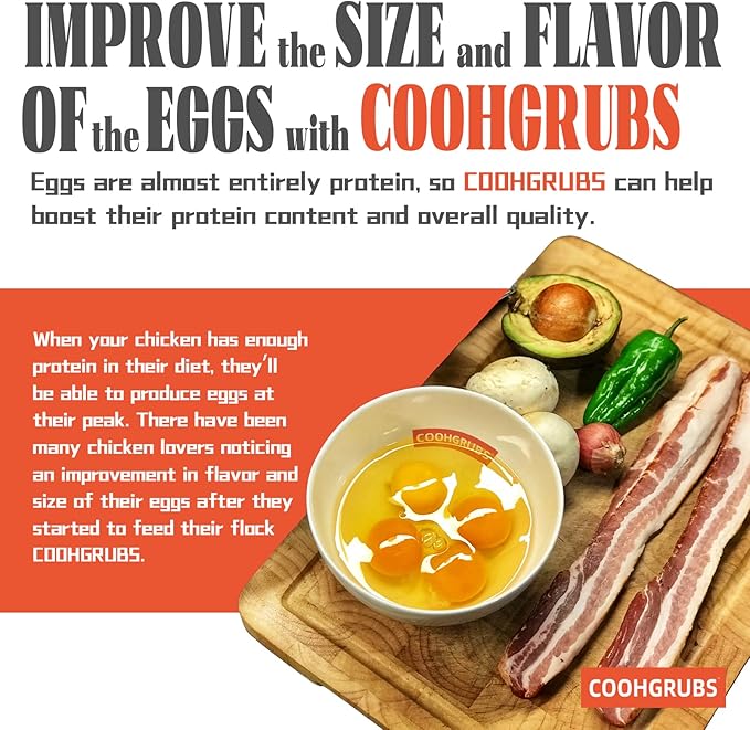 COOHGRUBS Black Soldier Fly Larvae for Chickens – 100% Natural Non-GMO Grubs, 85X More Calcium Than Dried Mealworms – Clean, Nutritious & Delicious High-Protein Poultry & Bird Treats, 2-lb Box