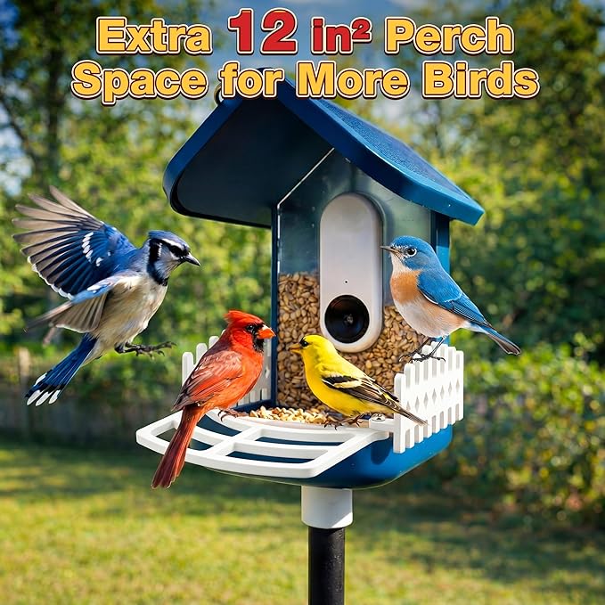 Dreyoo Perch Extender with 2 Side Fences Compatible with Bird Buddy Smart Bird Feeder - Wider Landing Space, Camera-Friendly Design for Clear Photos, UV-Resistant Outdoor Accessory, Screws Included