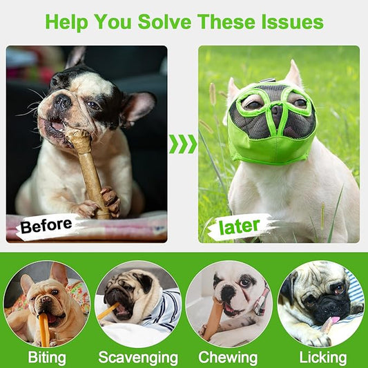 Short Snout Dog Muzzles- Adjustable Breathable Mesh Bulldog Muzzle for Biting Chewing Licking Grooming Dog Mask,Green XL