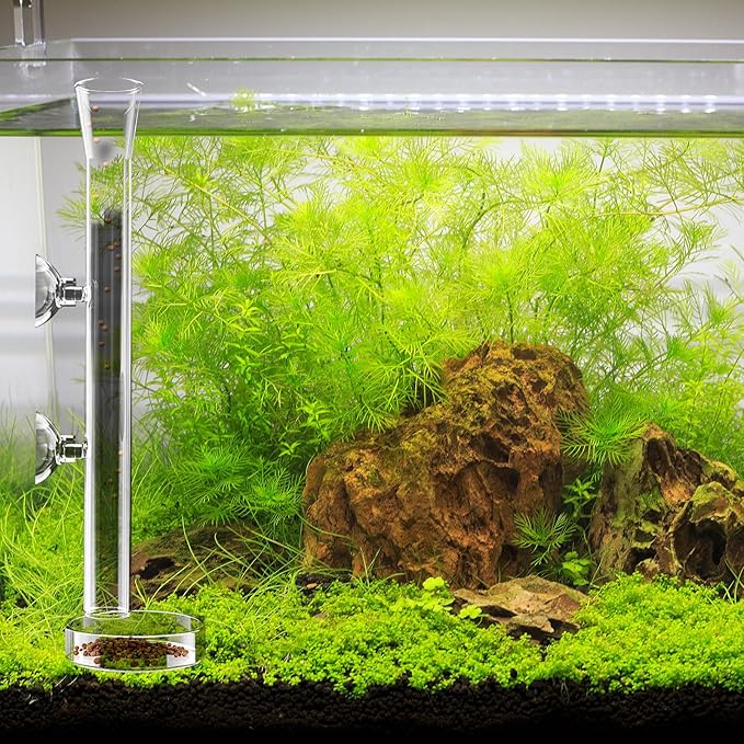 8 Pcs Shrimp Feeding Tube and Dish Fish Feeder Tube Tray for Plant Holder for Aquarium Fiberglass Fish Tank Feeding Tray (8inch)