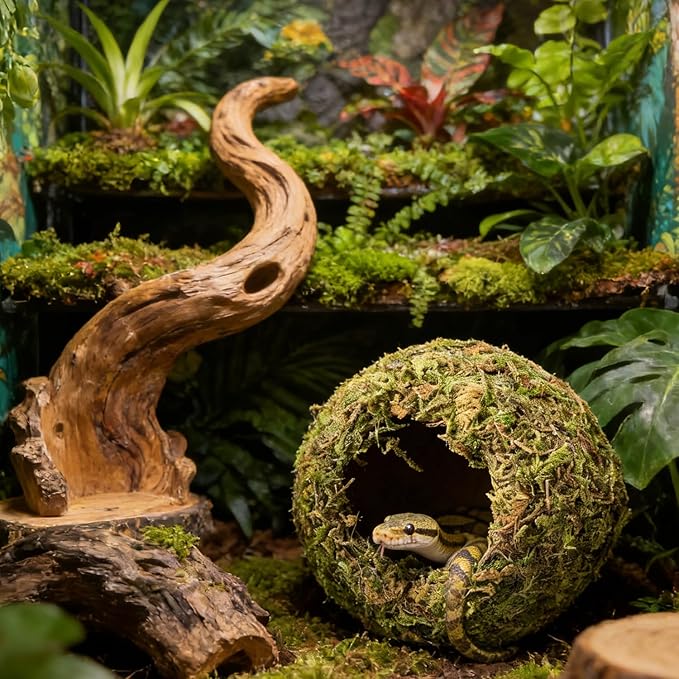 Reptile Hideout Cave - Natural Coconut Moss Terrarium Decor & Snake Hide - Leopard Gecko Hide & Ball Python Hide - Reptile Tank Accessories & Habitat Hideouts for Bearded Dragon