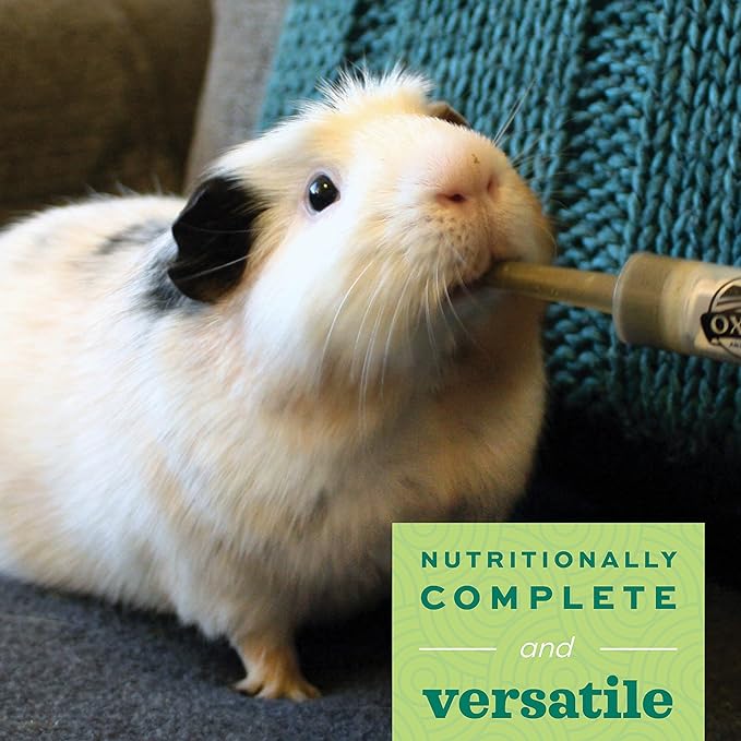 Oxbow Critical Care Herbivore, Emergency Rabbit & Guinea Pig Food, Natural Apple Banana Flavor, Critical Care Herbivore, Assist Feeding Formula for Pets, 454 gram bag