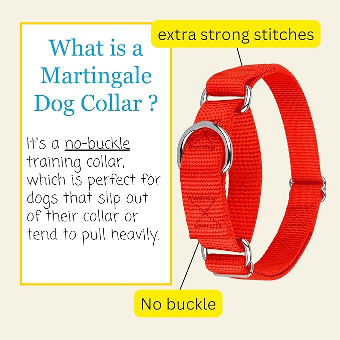 Country Brook Petz - Martingale Dog Collar - Heavy-Duty Training Collar with No Buckle - Service Dog Collar for All Pups - 20 Vibrant Colors (Hot Orange, 1 Inch, Extra Large)