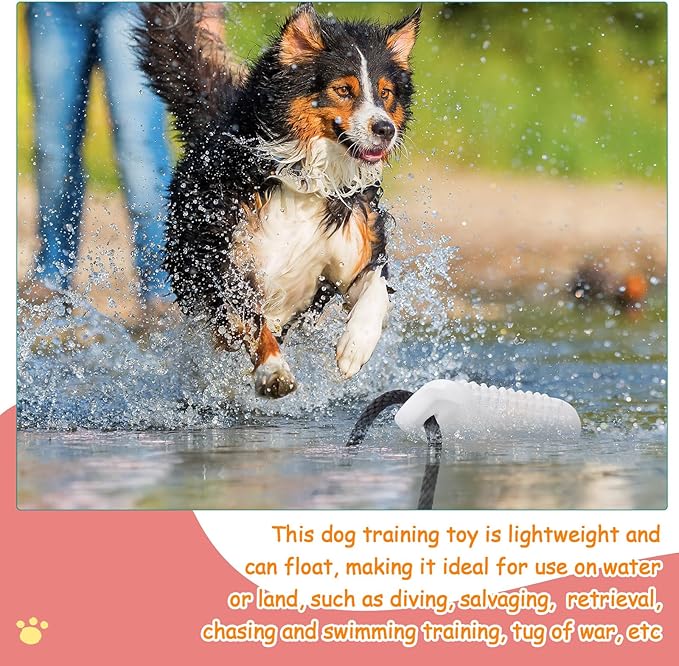 Blueweenly 6 Pcs Dog Bumper Toy for Water Retrieving Plastic Puppy Training Dummy Dog Float Toy Lightweight for Float on The Water Pool Outdoor Training Hunting Fetching (Assort Color)