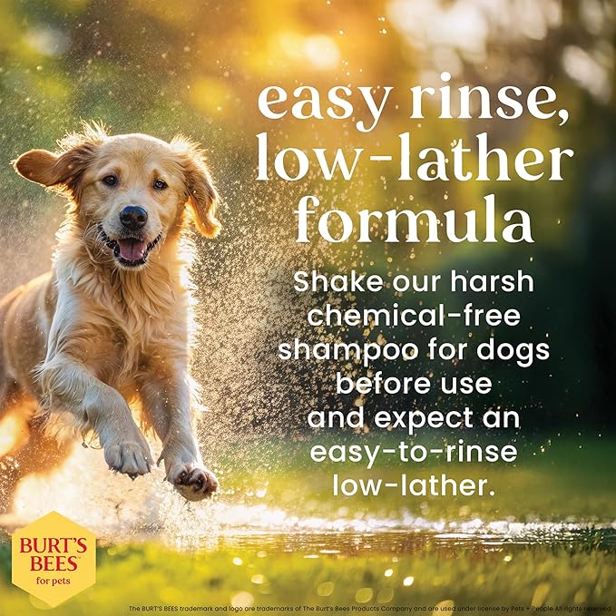 Burt's Bees for Pets Hypoallergenic Dog Shampoo with Shea Butter and Honey, Gentle Fragrance Free Shampoo for Sensitive Dogs with 95% Natural Origin Skin and Coat Formula, 16 Fl Oz
