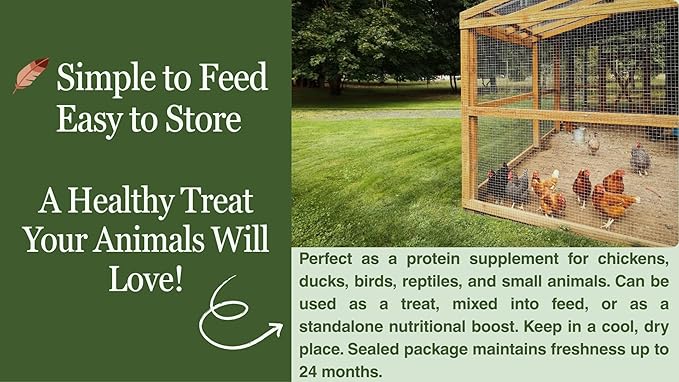 kimoe Non-GMO Bulk Dried Mealworms 10LB Bag for Chickens, Ducks & Wild Birds — 100% Natural High-Protein Feed to Boost Egg Production, Feather Health & Immunity
