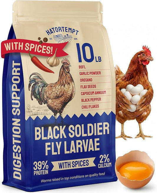 Hatortempt Spiced Black Soldier Fly Larvae for Chickens 10lb - High-Calcium, Organic Worm Treats for Laying Hens - Coated with a Chili Mix for Chickens
