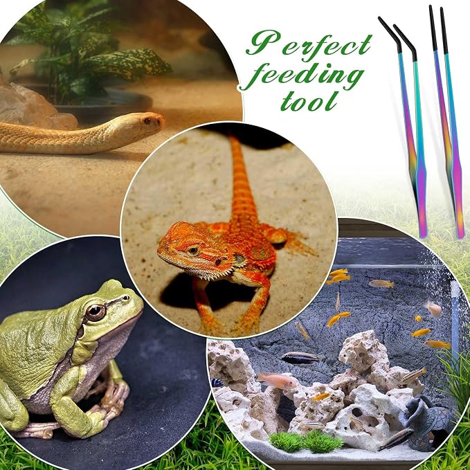 Lasnten 2 Pcs Extra Long Stainless Steel Reptile Feeding Tongs with Rubber Tip 15 Inch Bearded Dragon Aquarium Straight and Curved Long Tweezer Terrarium Feeder Tool for Tank (Colorful)