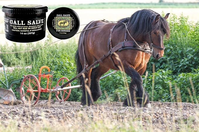Bickmore Gall Salve Wound Cream for Horses 14oz - Quick Equine Relief of Sores, Abrasions, Cuts and Galls