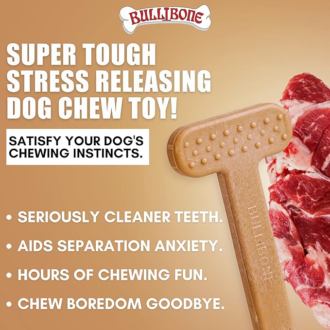 Bullibone Nylon Dog Chew Toy for Aggressive Chewers - Dental Hygiene Bone with Beef Flavor, Durable Tough Chew Toys for Small Dogs, Indestructible Dog Bone - 2 Pack