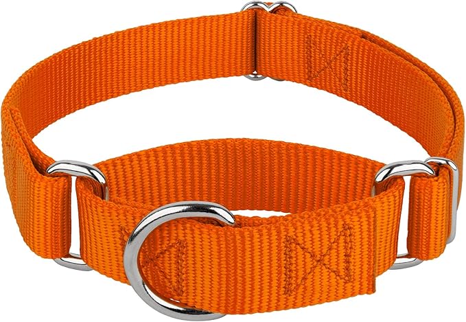 Country Brook Petz - Martingale Dog Collar - Heavy-Duty Training Collar with No Buckle - Service Dog Collar for All Pups - 20 Vibrant Colors (Orange, 5/8 Inch, Extra Small)