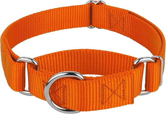 Country Brook Petz - Martingale Dog Collar - Heavy-Duty Training Collar with No Buckle - Service Dog Collar for All Pups - 20 Vibrant Colors (Orange, 1 Inch, Medium)