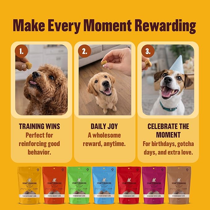 What's Barking Shakers Meal Toppers, Dog Treat Crumbles for Food Topping, Pet Essentials, Sprinkle Topper for Kibble or Wet Food, Made in USA, Resealable Bag (Pack of 3, Blueberry Muffin)