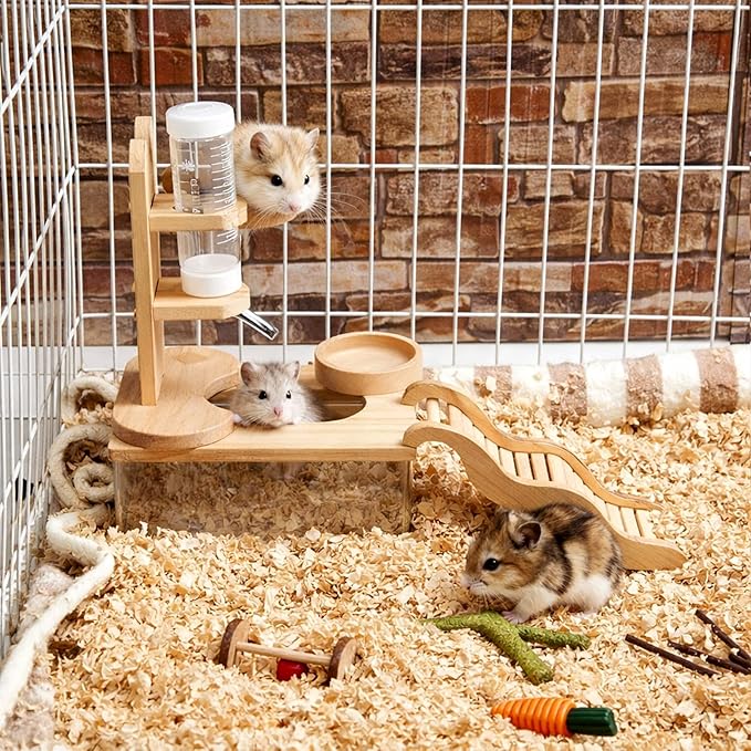 4 Pcs Hamster Cage Accessories Acrylic Sand Bath Box Feeding Bowl Water Bottle Set Hamster Climbing Toy Wooden Ladder Bridge Set for Rat Mice Small Animals Habitat(Rectangle)