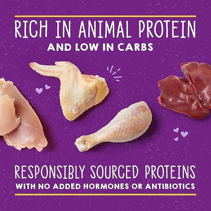 Stella & Chewy's Carnivore Cravings Savory Shreds Cans – Grain Free, Protein Rich Wet Cat Food – Cage-Free Chicken & Chicken Liver Recipe – (5.2 Ounce Cans, Case of 24)